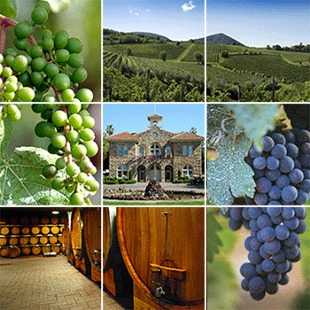 Sonoma valley wine country tours